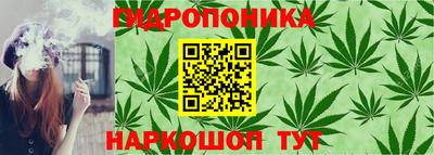 ПСИЛОЦИБИНОВЫЕ ГРИБЫ Балашиха