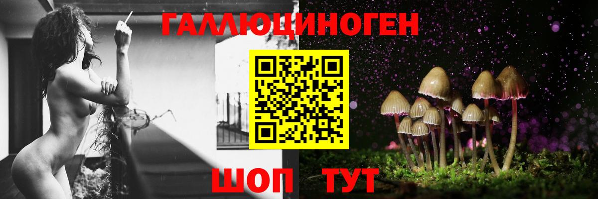 Елабуга  Галлюциногенные грибы мухоморы  Вход с VPN 